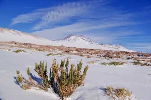 TREKKING NEL DESERTO DI ATACAMA 2015